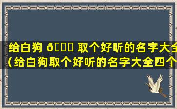 给白狗 🐒 取个好听的名字大全（给白狗取个好听的名字大全四个字）